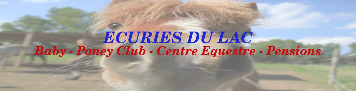 ECURIES DU LAC